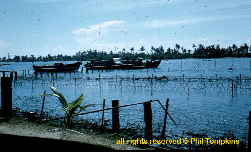 Copy (2) of scan0024.jpg